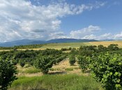 Продаётся  участок 2 000 сот, photo 2 from 8