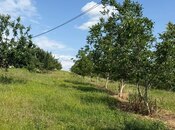 Продаётся  участок 2 000 сот, photo 6 from 8