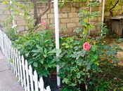 Продаётся  объект 300 м², photo 4 from 8