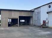 Объявление №5359467 - Баку, пос. Гала, 670 м²