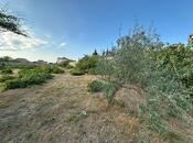 Satılır  torpaq 12 sot, Buzovna q., photo 3 from 6