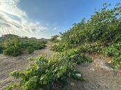 Satılır  torpaq 12 sot, Buzovna q., photo 2 from 6