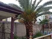 Satılır 5 otaqlı həyət evi/bağ evi 150 m², Qaraçuxur q., photo 7 from 8