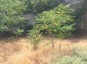 Объявление №5360856 - Баку, м. Элмляр Академиясы, 4 сот