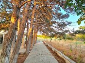 Продаётся  участок 25 сот, пос. Мардакан, photo 2 from 8