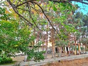 Продаётся  участок 25 сот, пос. Мардакан, photo 3 from 8