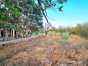 Продаётся  участок 25 сот, пос. Мардакан, photo 1 from 8