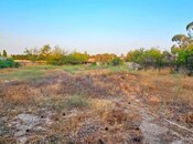 Продаётся  участок 25 сот, пос. Мардакан, photo 8 from 8