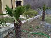 Продаётся 5-комн. дом/дача 210 м², photo 8 from 8