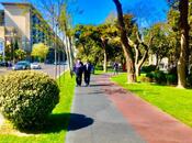 İcarəyə verilir 5 otaqlı ofis 315 m², Gənclik m., photo 2 from 8