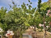 Satılır 7 otaqlı həyət evi/bağ evi 450 m², Mərdəkan q., photo 3 from 8