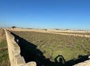 Объявление №5373152 - Баку, пос. Бузовна, 10 сот