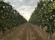 Продаётся  объект 850 000 м², photo 5 from 7