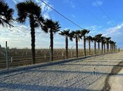 Продаётся  объект 850 000 м², photo 6 from 7