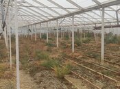 Продаётся  объект 200 м², photo 2 from 4