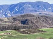 Satılır  torpaq 142 sot, photo 2 from 4