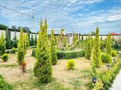 Сдаётся 4-комн. дом/дача 360 м², пос. Мардакан, photo 2 from 8