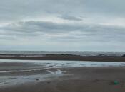 Продаётся  участок 60 сот, пос. Новханы, photo 7 from 7