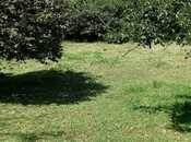 Продаётся  участок 30 сот, photo 2 from 8