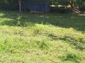 Elan №5388355 - Balakən, Balakən, 30 sot