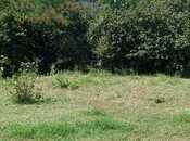 Продаётся  участок 30 сот, photo 5 from 8