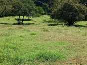 Продаётся  участок 30 сот, photo 8 from 8