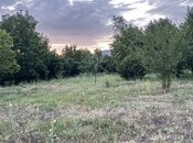 Объявление №5388509 - Габала, Габала, 10 сот