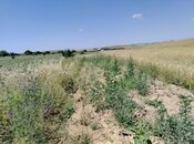 Satılır  torpaq 7 490 sot, photo 6 from 8