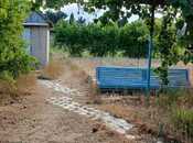 Продаётся  участок 25 сот, пос. Бильгях, photo 6 from 8