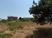 Продаётся  участок 72 сот, пос. Шувеляны, photo 5 from 5