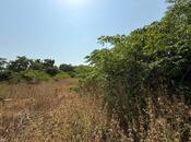 Продаётся  участок 72 сот, пос. Шувеляны, photo 3 from 5