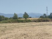 Elan №4902801 - Zaqatala, Zaqatala, 6 sot