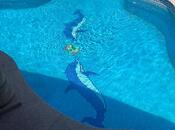 Продаётся 11-комн. дом/дача 600 м², пос. Ази Асланова, photo 4 from 8