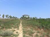 Продаётся  участок 120 сот, пос. Мамедли, photo 6 from 8