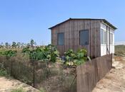 Продаётся  участок 120 сот, пос. Мамедли, photo 5 from 8