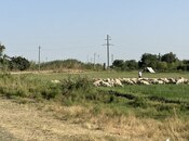 Satılır  torpaq 7 000 sot, photo 1 from 8