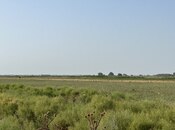 Satılır  torpaq 7 000 sot, photo 3 from 8