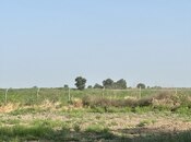 Satılır  torpaq 7 000 sot, photo 5 from 8