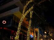 Satılır  obyekt 615 m², 28 May m., photo 2 from 8