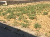 Продаётся  участок 56 сот, пос. Бинагади, photo 4 from 5