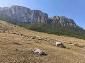 Продаётся  участок 12 сот, photo 5 from 8