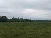 Продаётся  участок 245 сот, photo 5 from 5