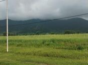 Продаётся  участок 245 сот, photo 3 from 5