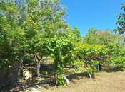 Satılır 6 otaqlı həyət evi/bağ evi 400 m², Badamdar q., photo 4 from 8