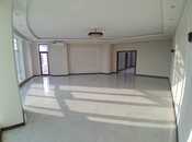 4-комн. офис - м. Сахил - 220 м²