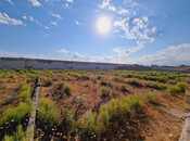 Продаётся  участок 36 сот, пос. Шаган, photo 2 from 8