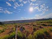 Продаётся  участок 36 сот, пос. Шаган, photo 4 from 8