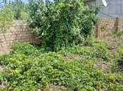 Продаётся 3-комн. дом/дача 100 м², пос. Горадил, photo 4 from 8