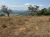 Продаётся  участок 500 сот, photo 7 from 8