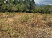 Продаётся  участок 500 сот, photo 6 from 8